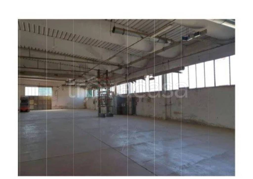 immagine annuncio 7 di 12