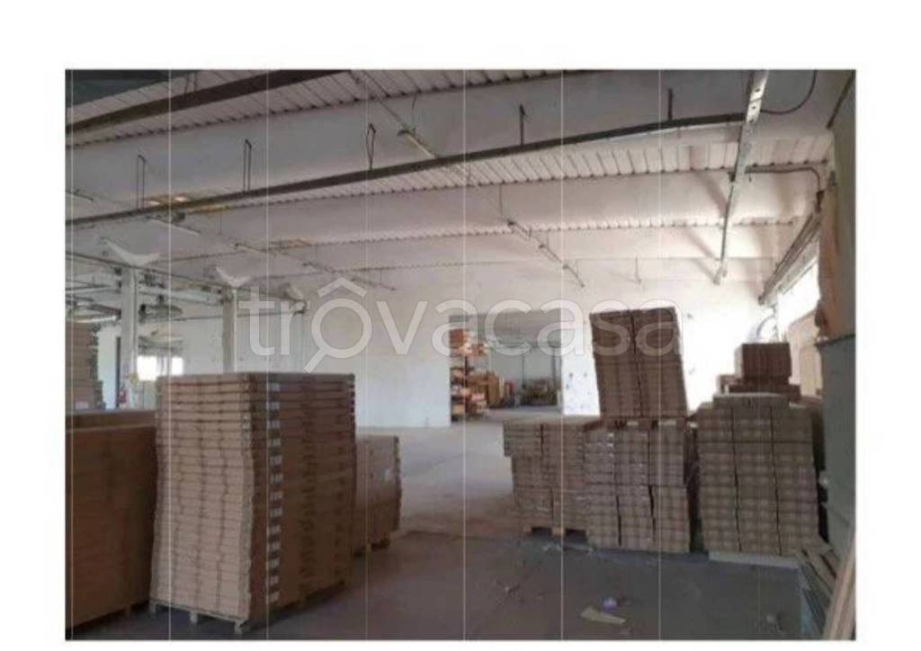 immagine annuncio 8 di 12