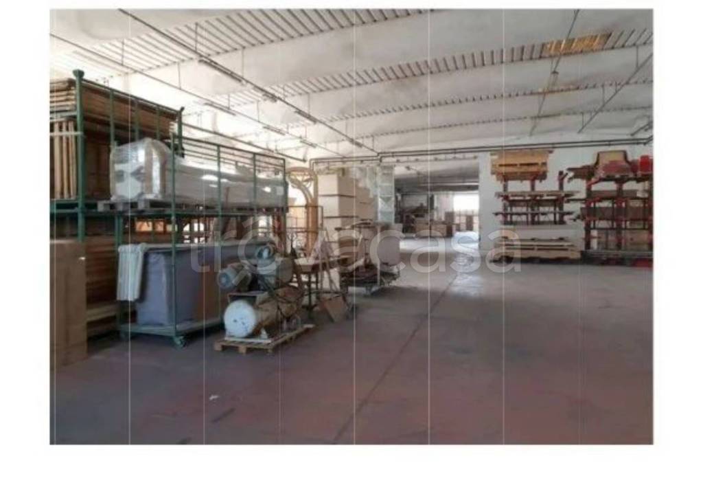 immagine annuncio 9 di 12