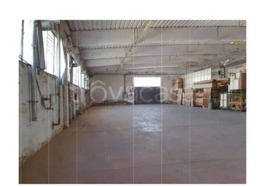 immagine annuncio 11 di 12