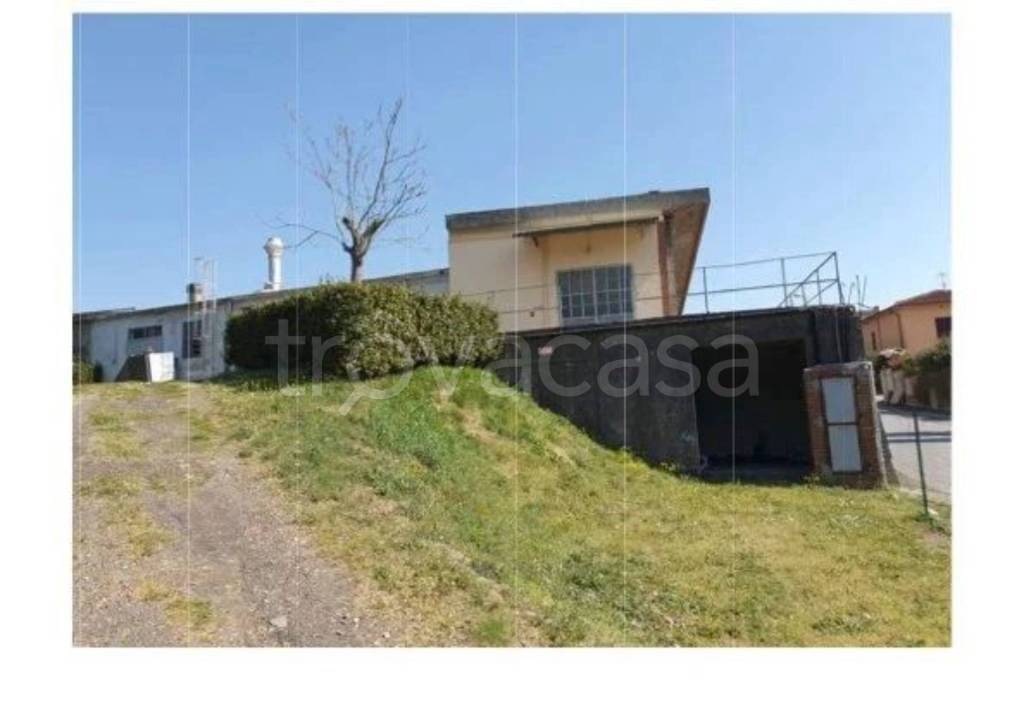 immagine annuncio 5 di 9