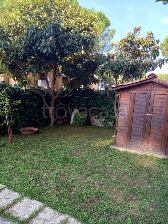 immagine annuncio 1 di 14