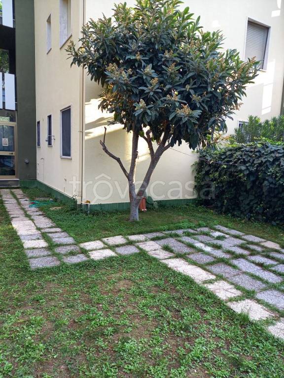 immagine annuncio 11 di 14