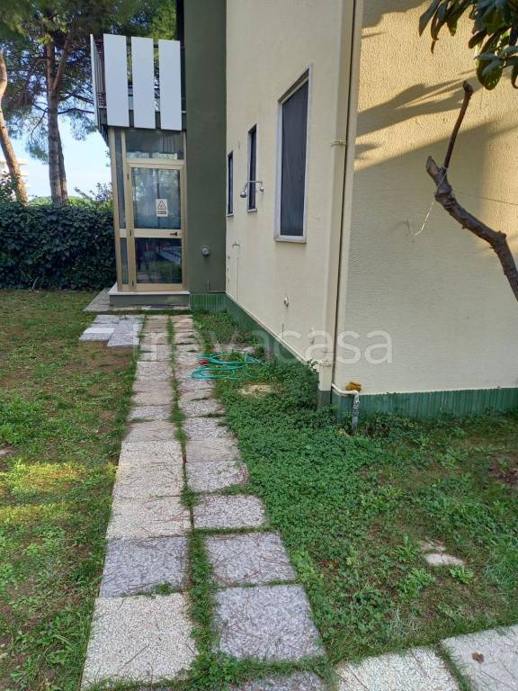 immagine annuncio 12 di 14