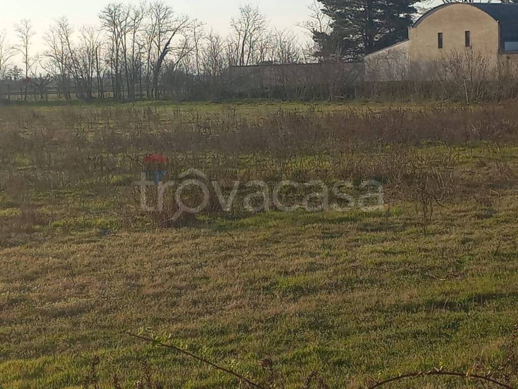 immagine annuncio 2 di 14