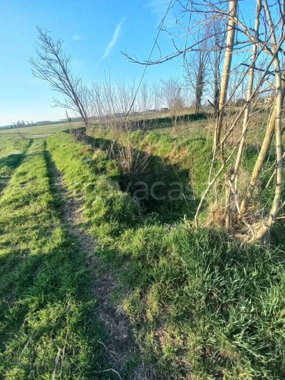 immagine annuncio 4 di 14