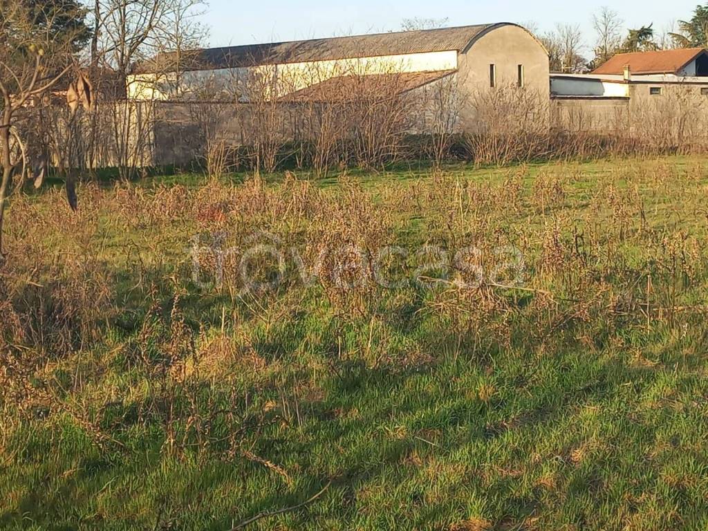 immagine annuncio 7 di 14