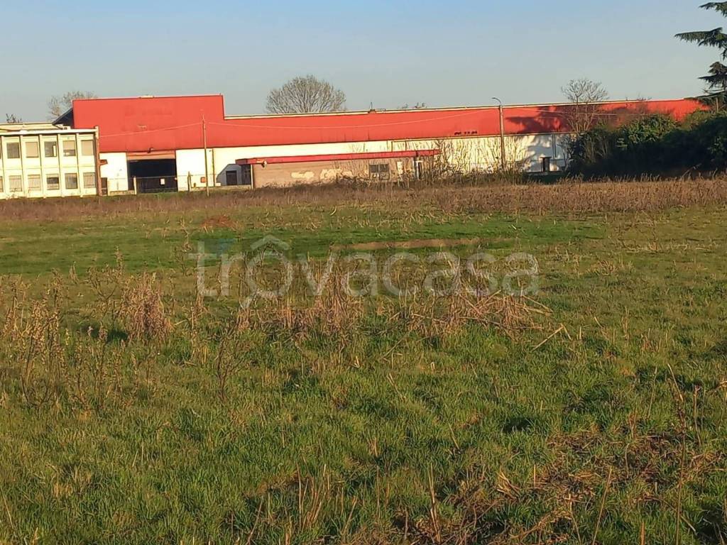 immagine annuncio 9 di 14