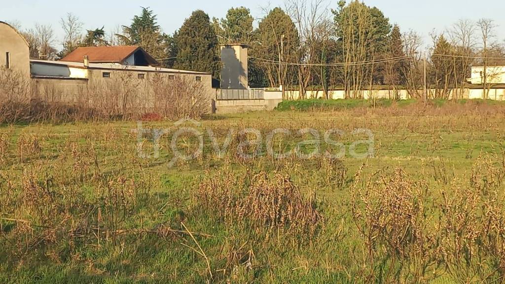 immagine annuncio 11 di 14