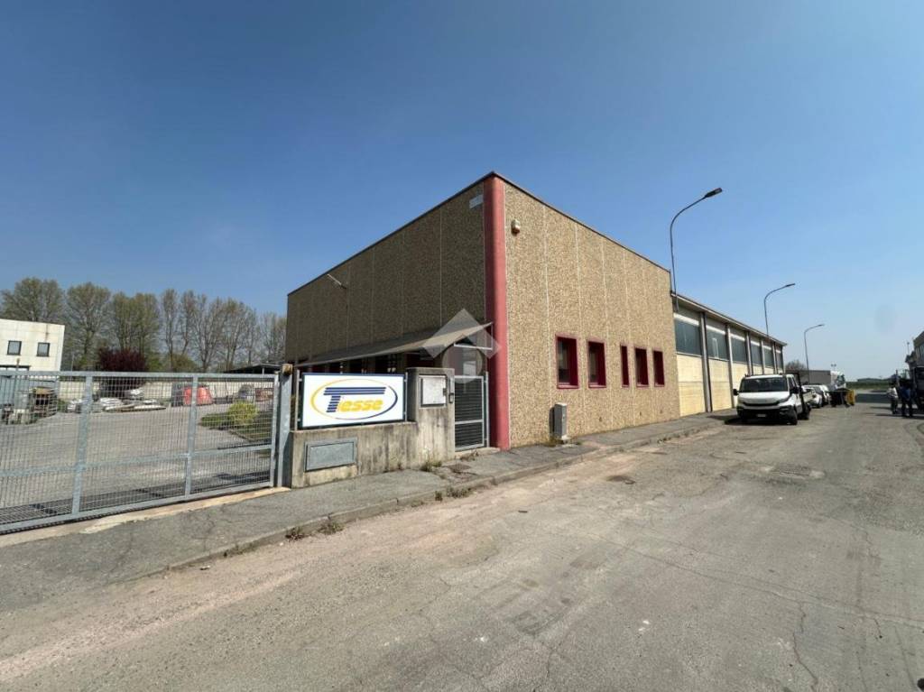 immagine annuncio 1 di 15