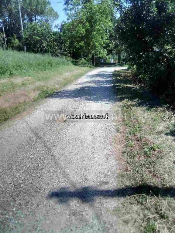 immagine annuncio 6 di 8