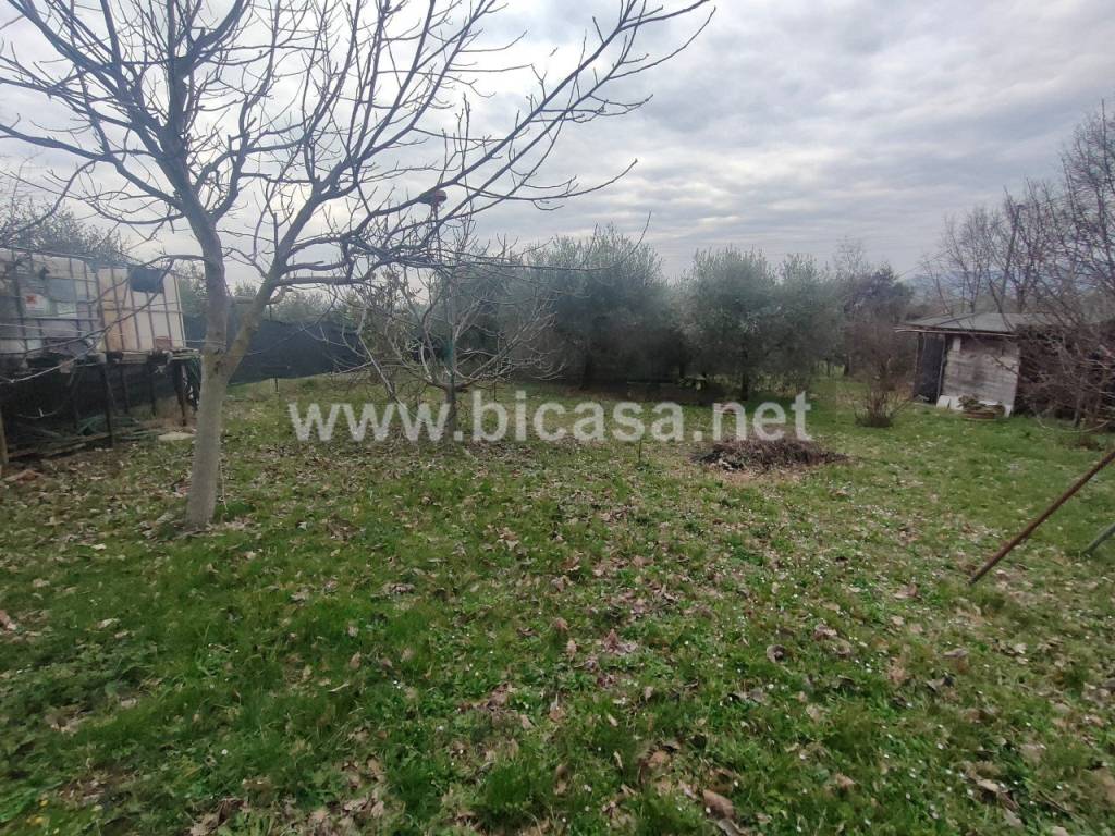 immagine annuncio 5 di 11