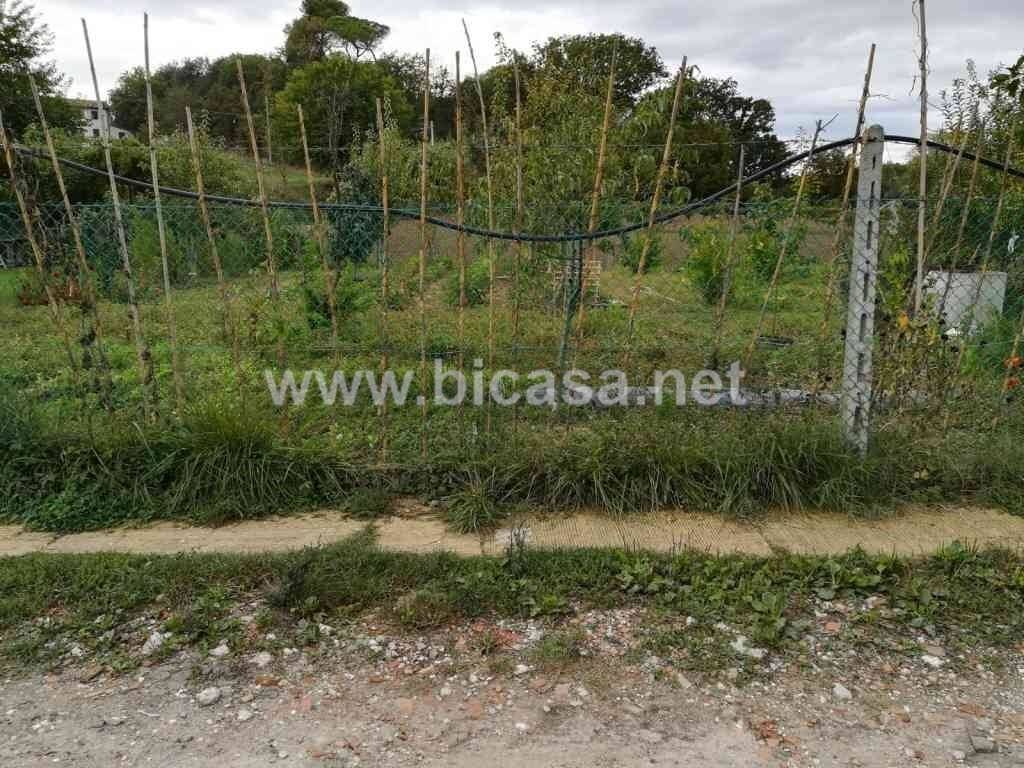 immagine annuncio 4 di 6