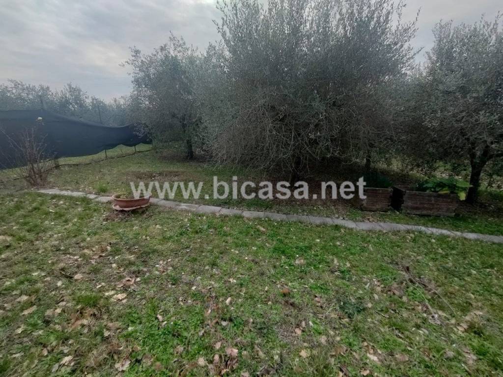 immagine annuncio 6 di 11