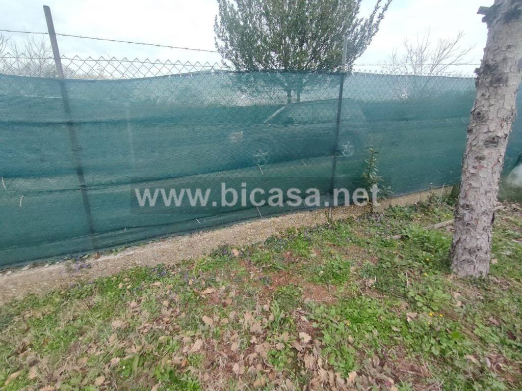 immagine annuncio 7 di 11