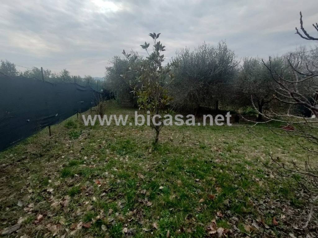 immagine annuncio 8 di 11