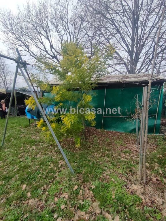 immagine annuncio 10 di 11