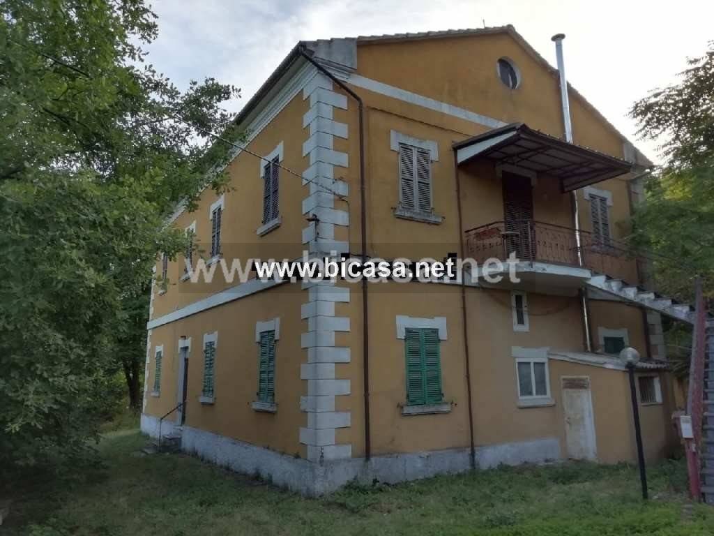 immagine annuncio 2 di 9