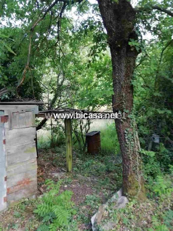 immagine annuncio 7 di 9