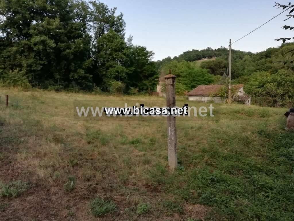 immagine annuncio 8 di 9