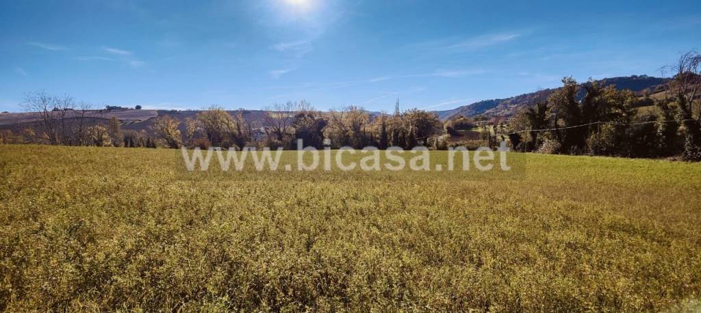 immagine annuncio 3 di 8