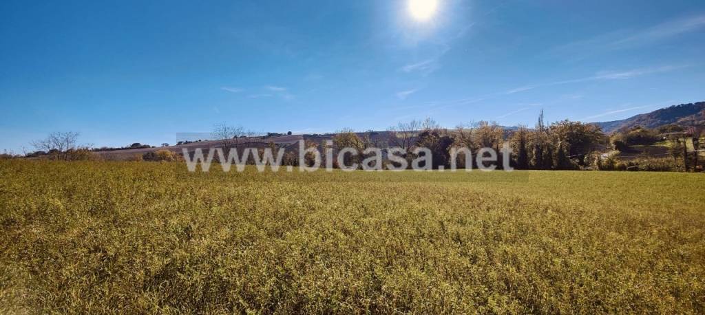 immagine annuncio 4 di 8