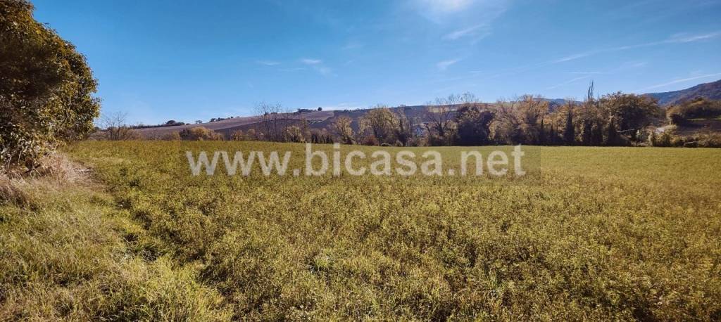 immagine annuncio 5 di 8