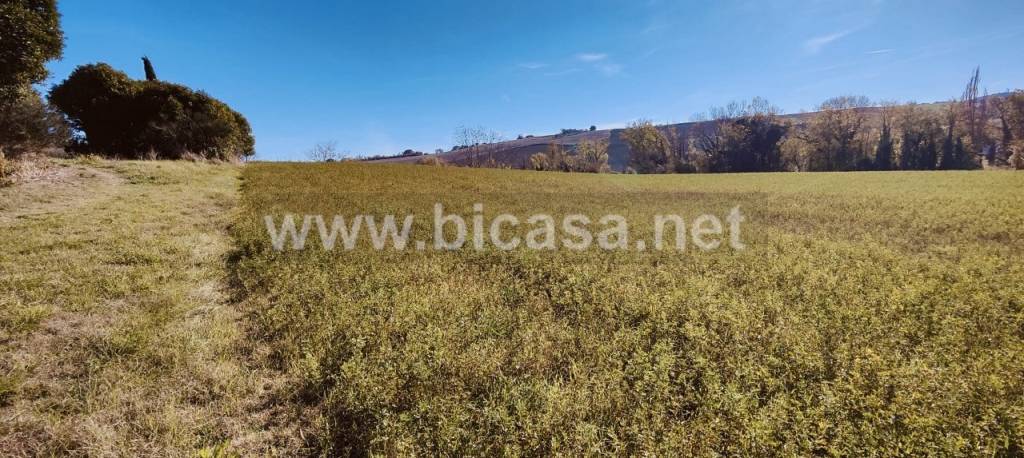 immagine annuncio 6 di 8