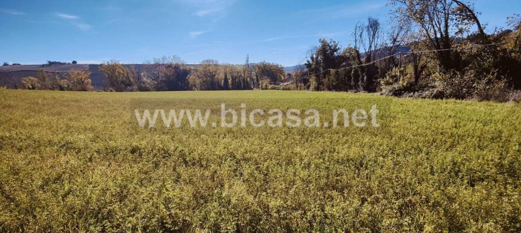 immagine annuncio 7 di 8