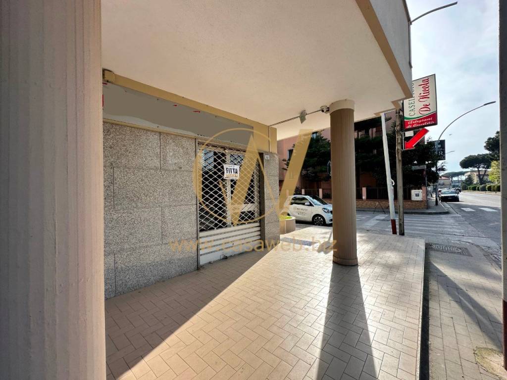 immagine annuncio 5 di 7