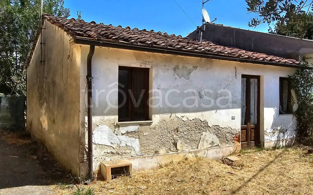 immagine annuncio 3 di 11