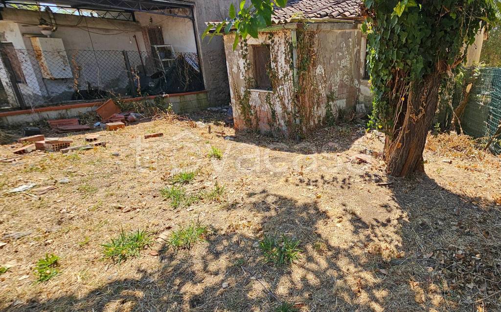 immagine annuncio 4 di 11