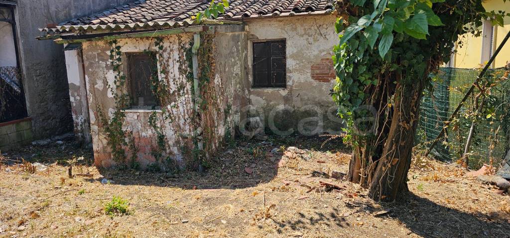 immagine annuncio 6 di 11