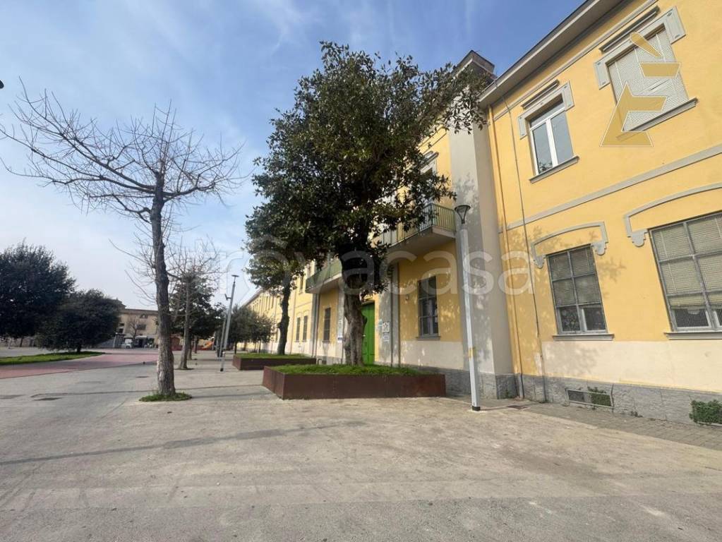 immagine annuncio 11 di 13