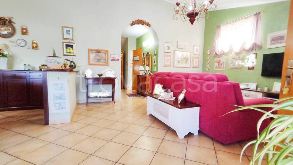 immagine annuncio 4 di 15