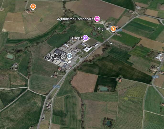 immagine annuncio 2 di 15