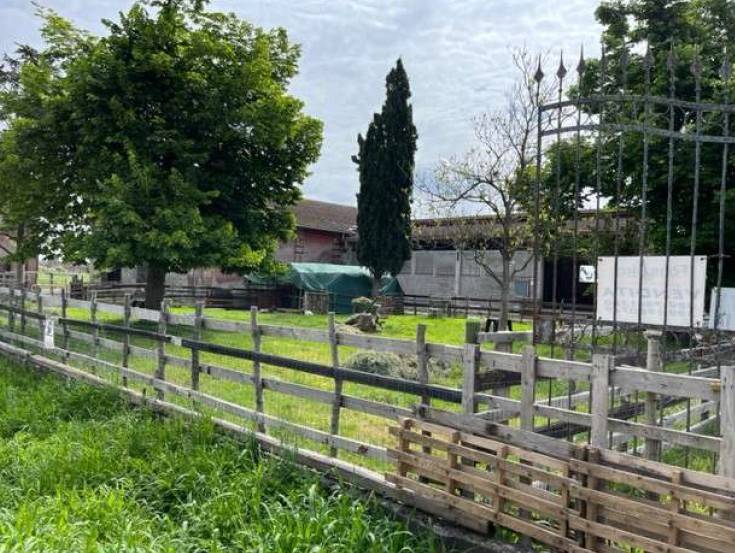 immagine annuncio 7 di 15