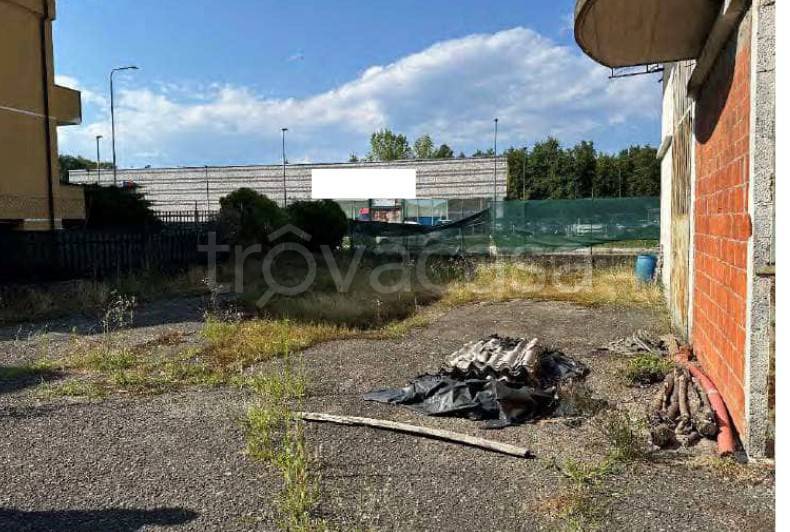 immagine annuncio 4 di 15