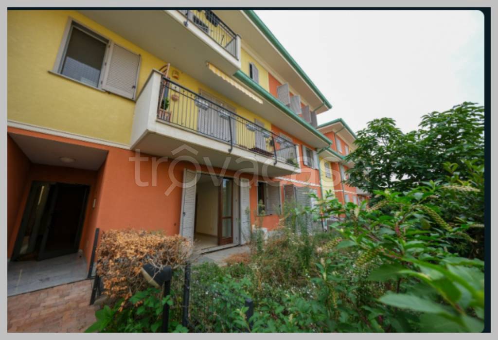 immagine annuncio 12 di 15