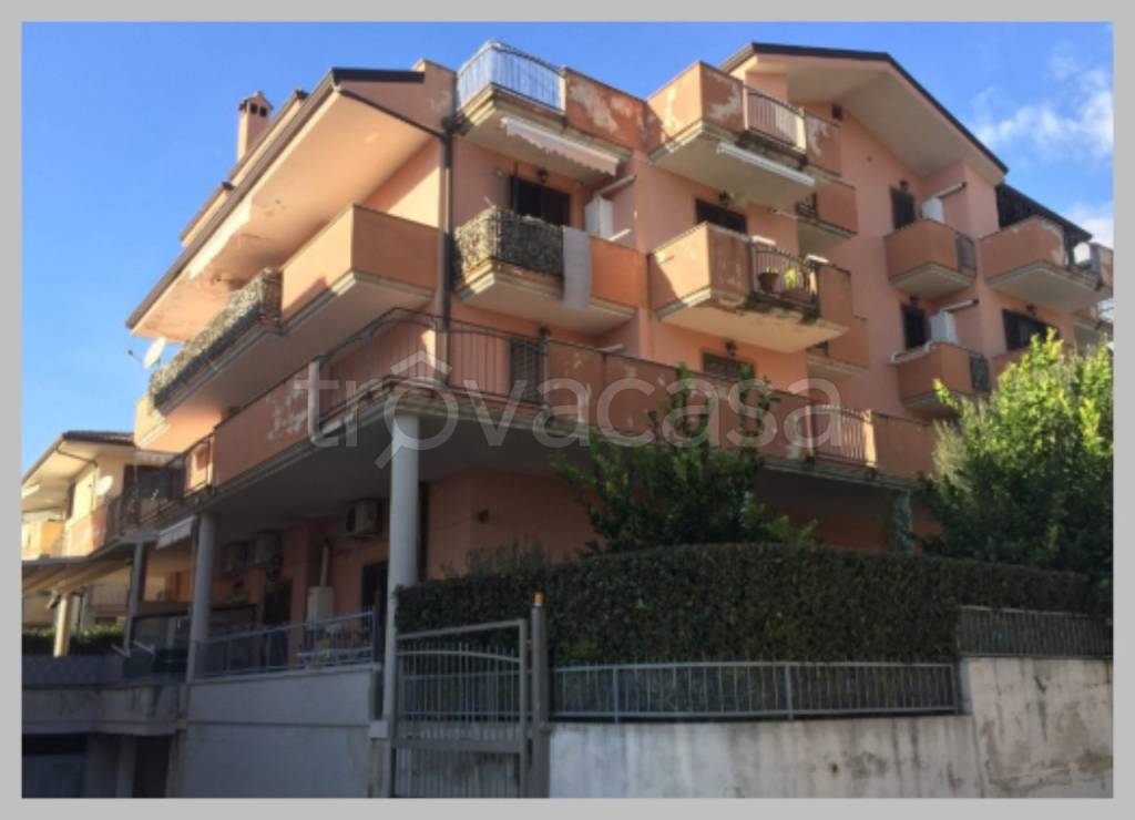 immagine annuncio 12 di 15