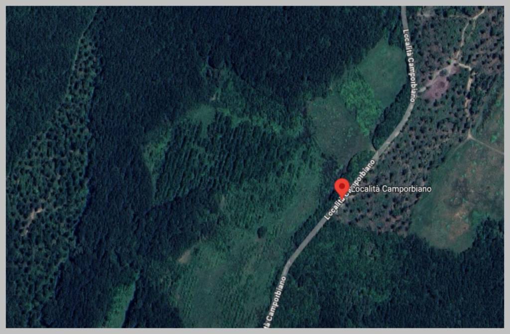 immagine annuncio 11 di 15