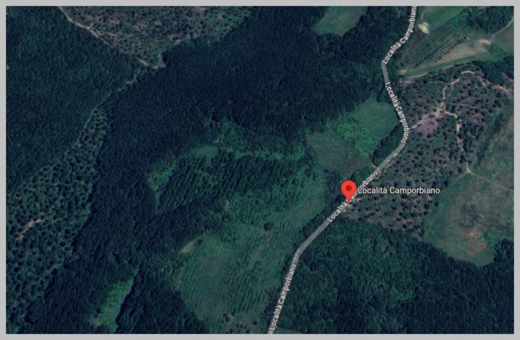 immagine annuncio 12 di 15