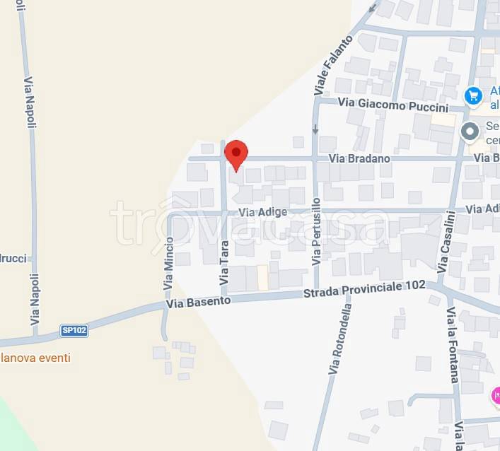 immagine annuncio 4 di 15