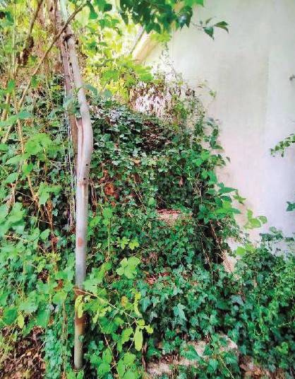 immagine annuncio 11 di 14