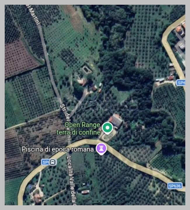 immagine annuncio 6 di 15