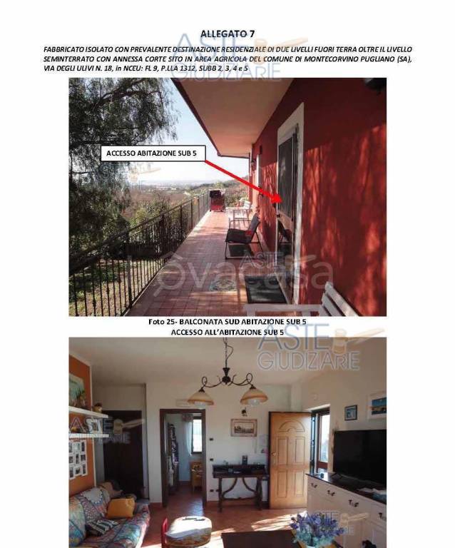 immagine annuncio 8 di 15