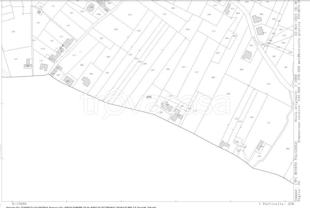 immagine annuncio 6 di 15