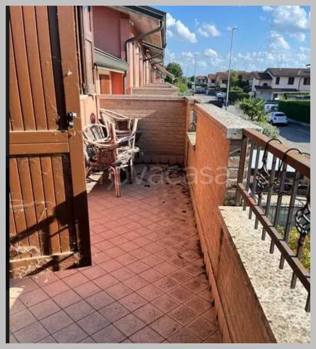 immagine annuncio 12 di 15