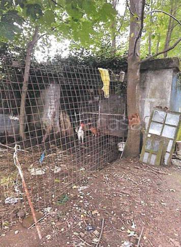 immagine annuncio 6 di 15