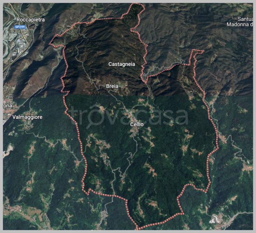 immagine annuncio 14 di 15